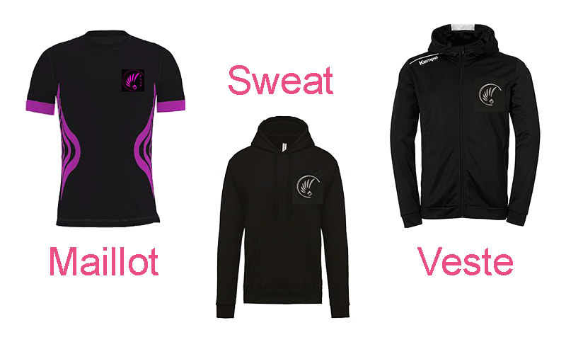 Commandez votre maillot du club